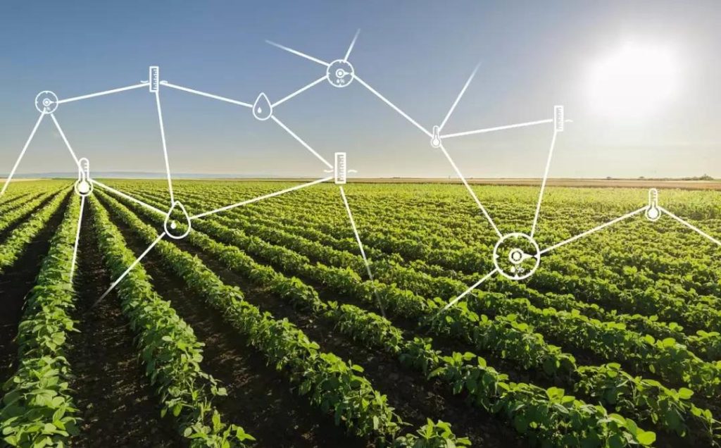 Agricultural Technology Helps Rural Revitalization-agriculturalforum-agriculture-msoen