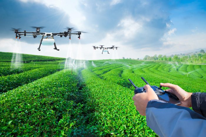 Drones' Leading Role in Preventing Wheat Diseases and Pests-msoen