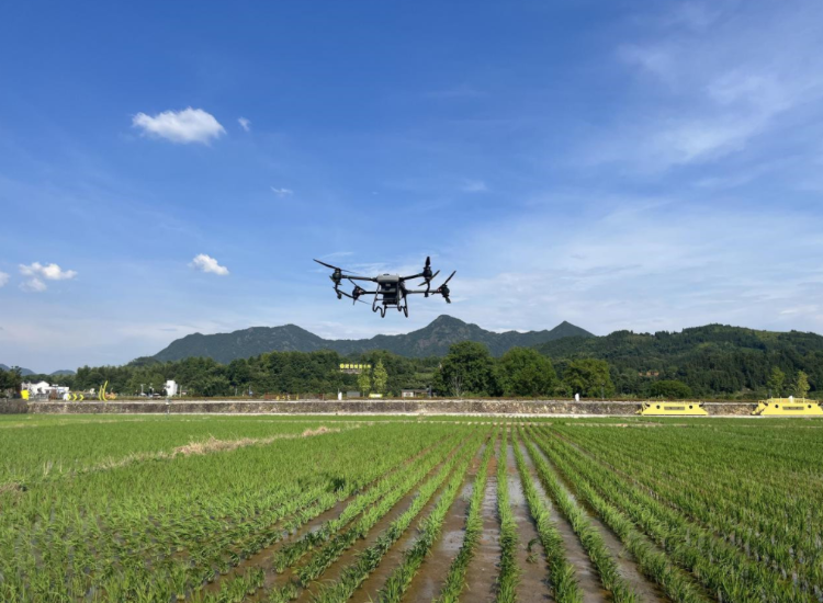 Drone precise “air drop”-msoen