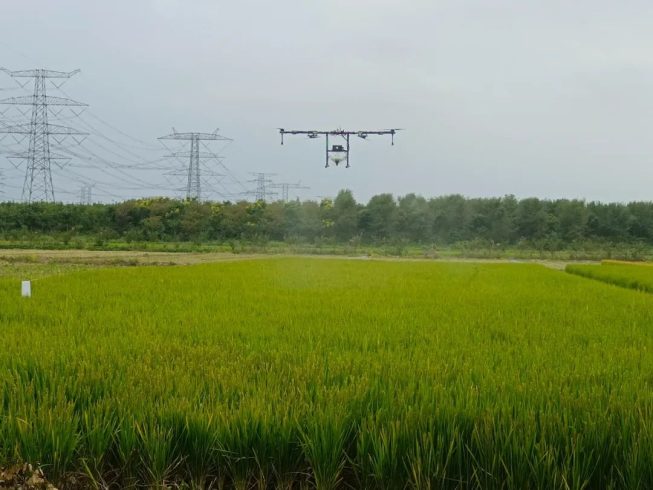 Drone "Hui" Farming! Songjiang New Farmers Show off Their "Technological Style"-msoen