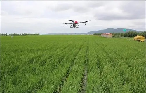 Yutang Township, Wanshan District: Drones Assisting Agricultural Modernization-msoen