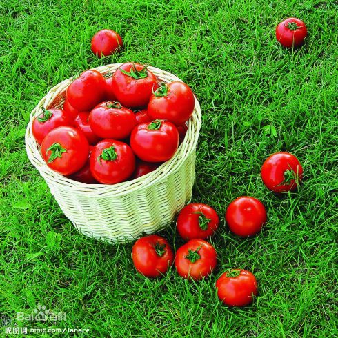 Henan Building Smart Agriculture "Kaifeng Model"-msoen