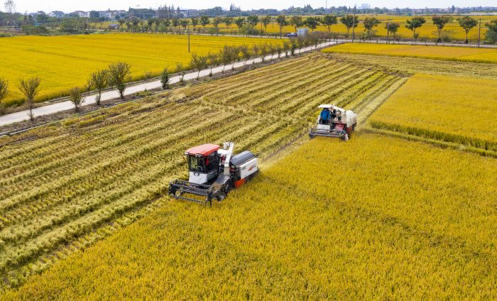 Qianxi: Mechanization Boosts Agricultural Development-msoen
