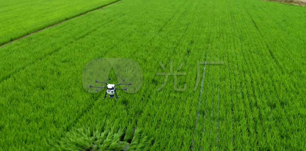 The results of 1388 foreign sources of watermelon and muskmelon from Unel-agriculturalforum-agriculture-msoen