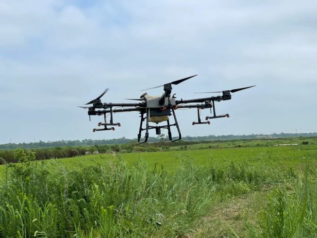 Drone fertilization adds intelligence to rice in saline alkali soil-msoen