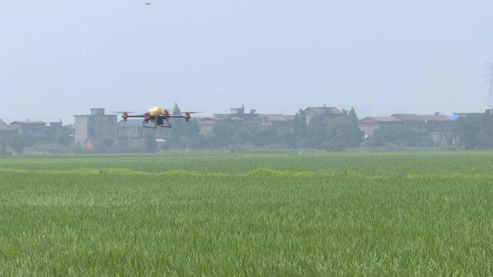 Live broadcast machine, drone seeding!-msoen