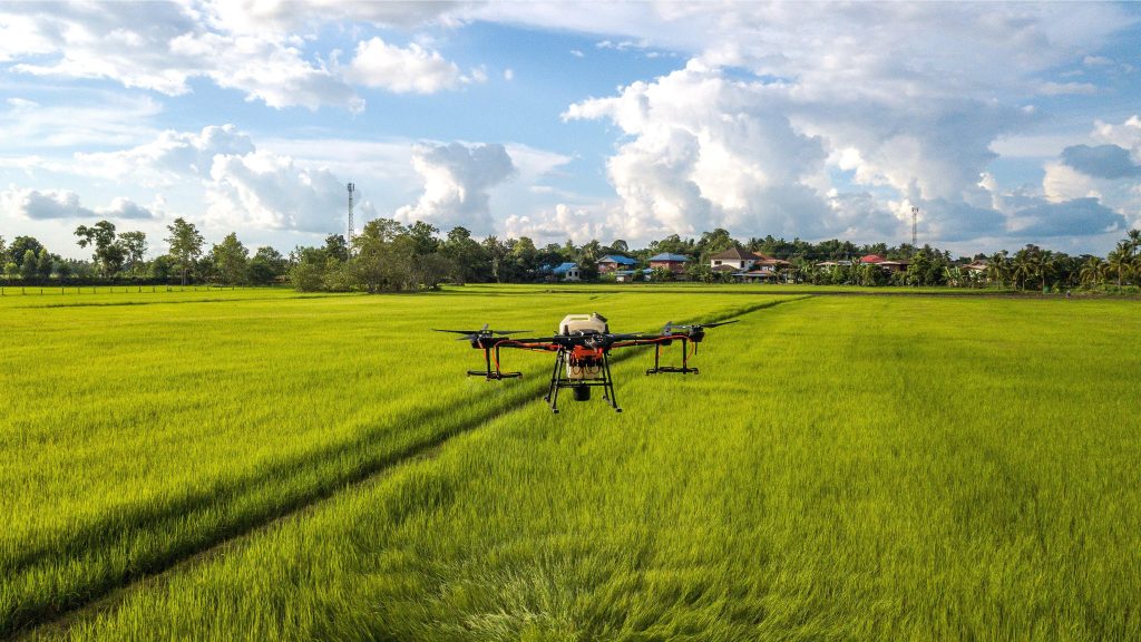 More than 50% of the crops planted in Mudan River are green organic food-agriculturalforum-agriculture-msoen
