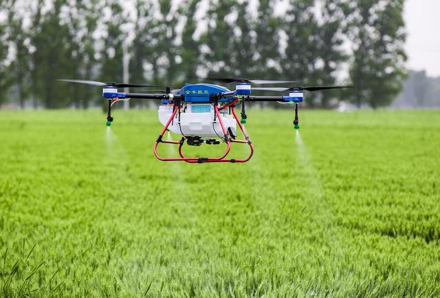 Yuxi City: Modern Green Agriculture Protects Lake Health-agriculturalforum-agriculture-msoen