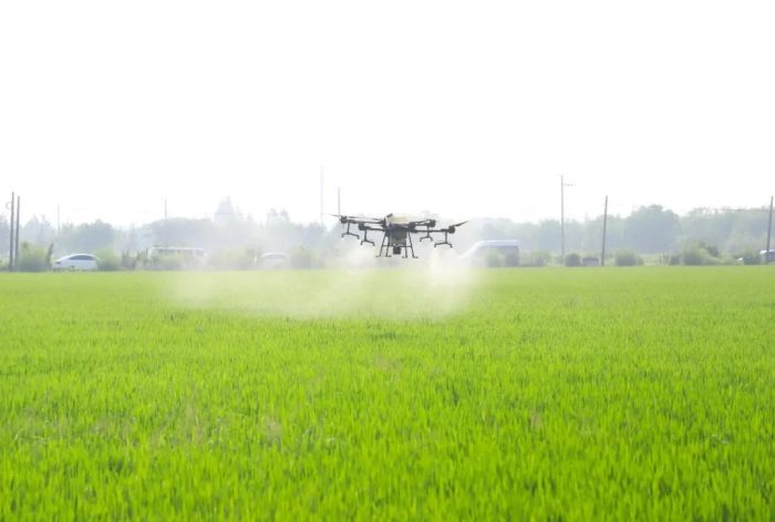 Drone killing insects-msoen