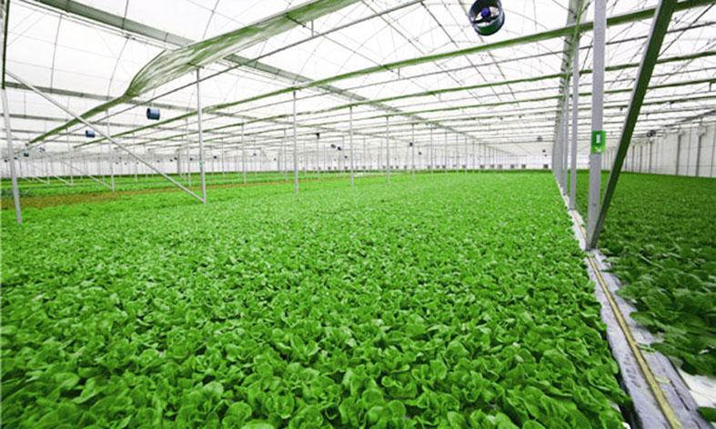 Promote the rapid development of smart agriculture-agriculturalforum-agriculture-msoen