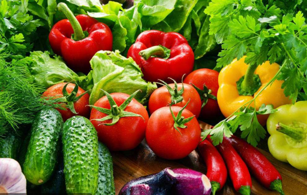 What exactly does a fully automated intelligent greenhouse look like-agriculturalforum-agriculture-msoen
