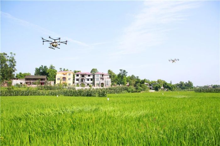 Rice planting in Jiangling County is spread by UAV-msoen