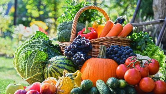 Vegetable greenhouse “grows” a beautiful life-agriculturalforum-agriculture-msoen