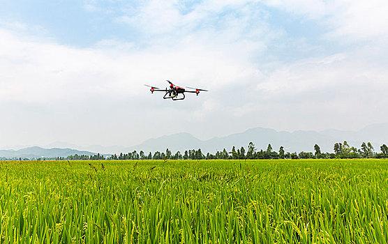 Smart Agriculture “Brings Agricultural Development into the” Fast Track “-msoen