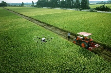 Youyang: drone “flight defense” operations add wings to rice field summer management-msoen