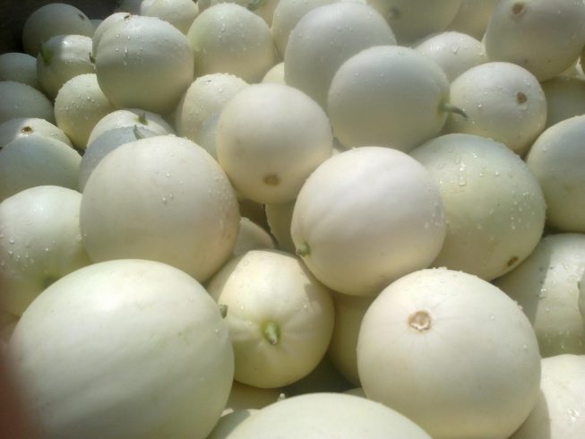 Fruit and vegetable greenhouses have a strong green atmosphere, playing the "income increasing song" to enrich the people-msoen