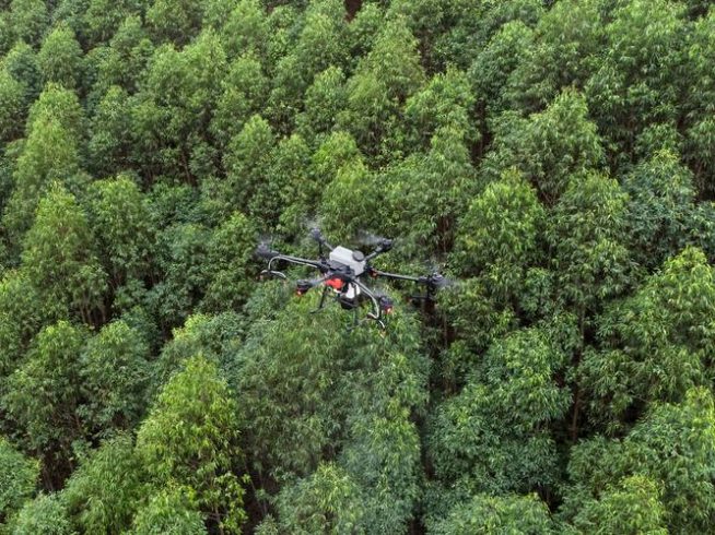 Growing towards "green" in the "hometown of vegetables"-msoen