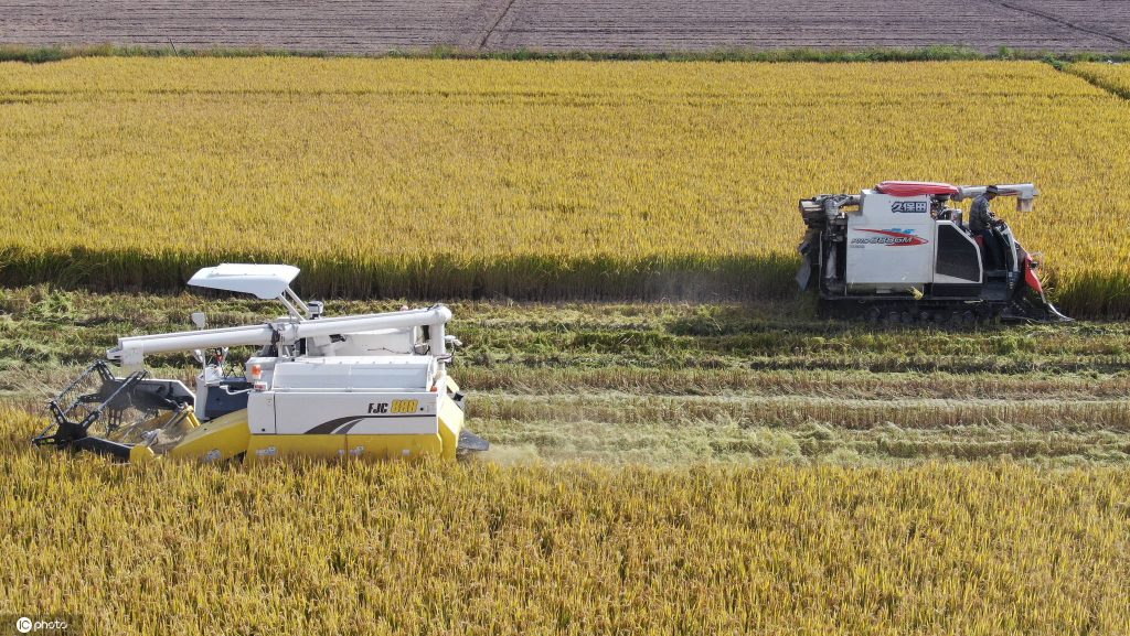 The largest unmanned farm in Guangdong produces nearly 600 kilograms per mu-agriculturalforum-agriculture-msoen