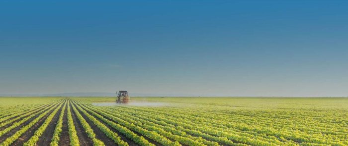 Smart agriculture empowers summer management-msoen