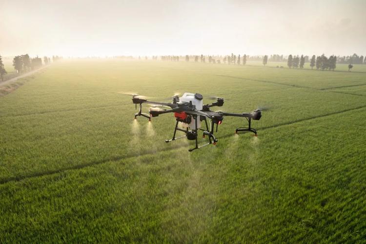 Drone classroom in the field-msoen