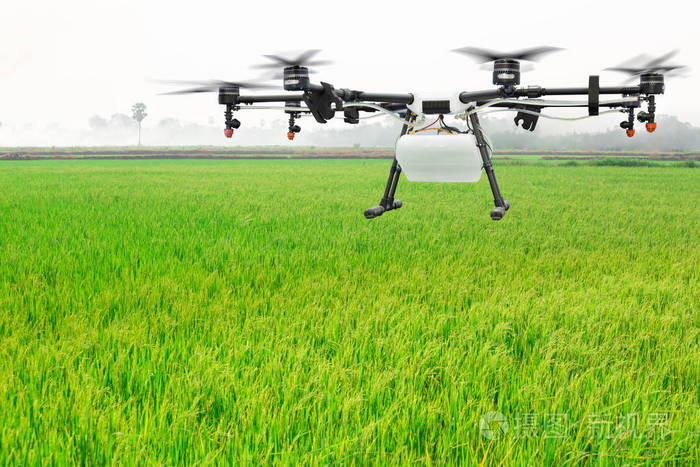 Chongqing Banan: Drone “Flying Defense” Protects Rice-msoen
