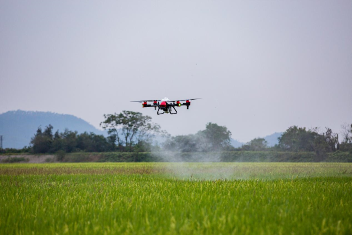 Drones enter the fields to help "fly" rural revitalization-msoen