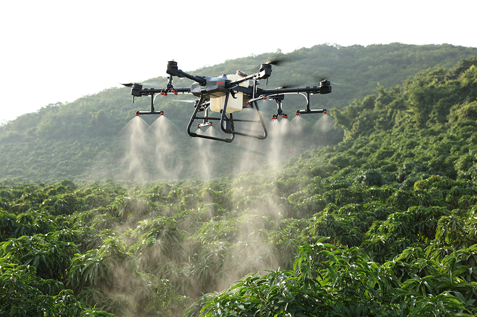 Drone “Flying Defense” Protects Rice-msoen
