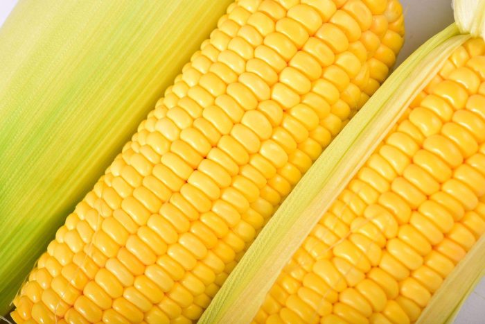 Chengxian County: Fruit and corn help farmers embark on a "sweet" path to prosperity-msoen