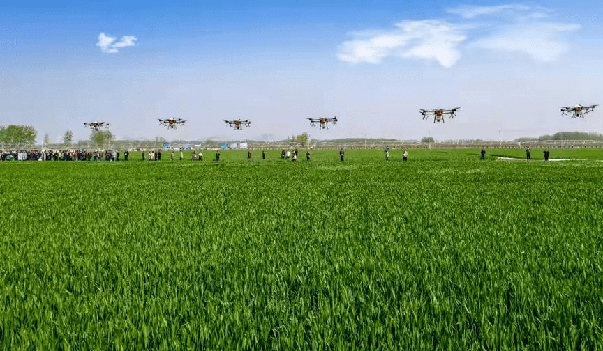 See what Japanese farmers have done with smart agricultural technology-msoen