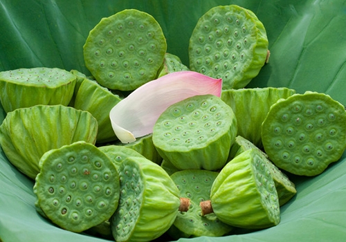 The hotter the weather, the sweeter the lotus seeds-agriculturalforum-agriculture-msoen