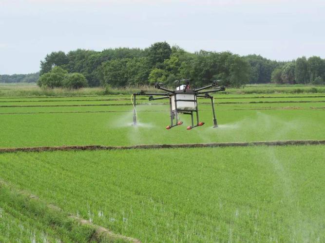 Realizing “unmanned driving” in rice harvesting operations-agriculturalforum-agriculture-msoen