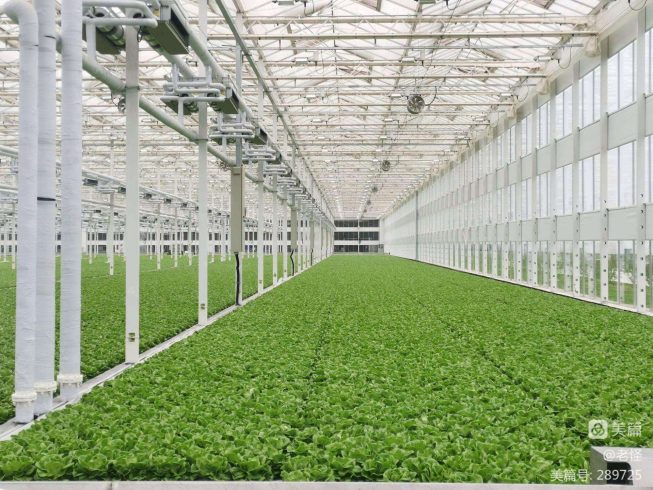 The "Digital Pear Garden" depicts a smart cultural and tourism landscape-msoen