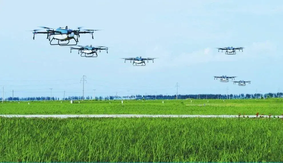 Sinan: Drone “Flying Defense” Protects Rice-msoen