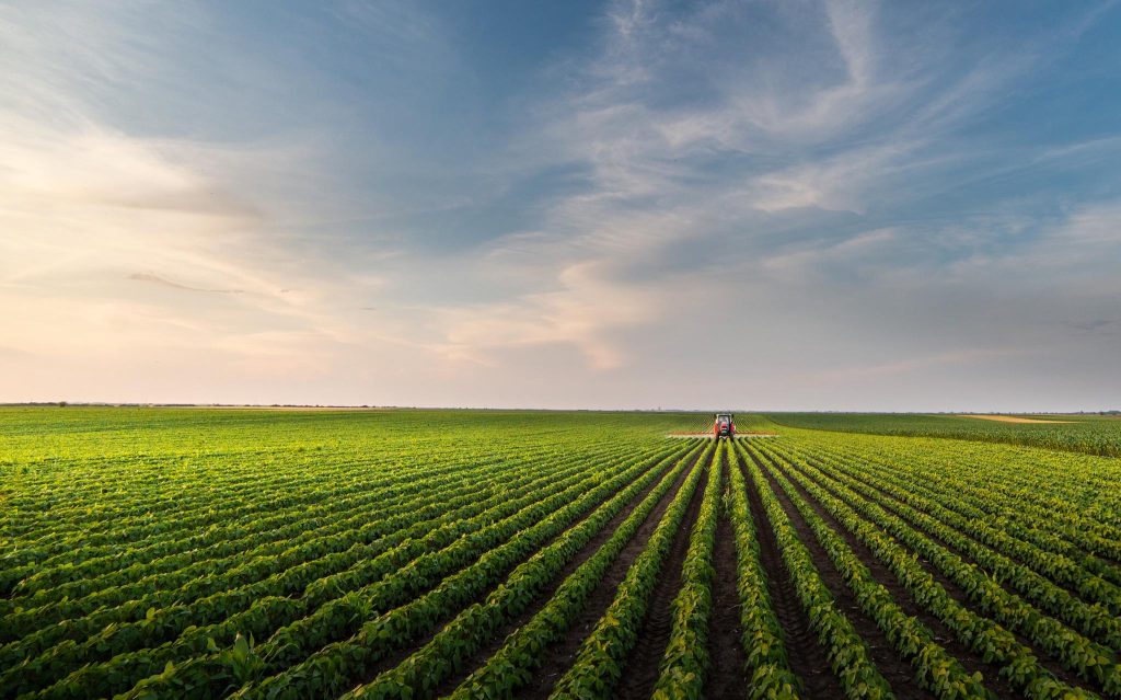 Mechanised agriculture effectively guarantees the harvest of summer grain-agriculturalforum-agriculture-msoen
