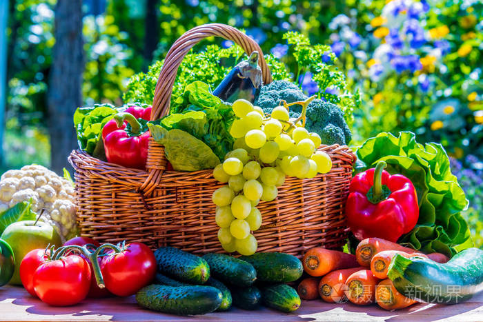 Vigorously Developing Organic Vegetable Industry to Assist Rural Revitalization-agriculturalforum-agriculture-msoen