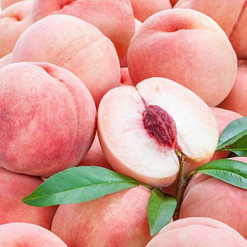 Ruoqiang: Peaches Harvest Abundantly, Branches Grow Beautiful, Grow Rich, and Fruit Farmers Laugh-msoen