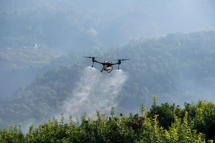 Sinan, Guizhou: Drone “Flying Defense” Protects Rice-msoen