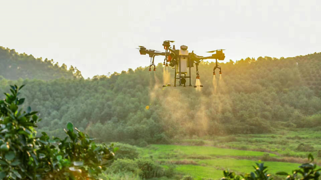 Unmanned technology makes rice cultivation green and efficient-agriculturalforum-agriculture-msoen