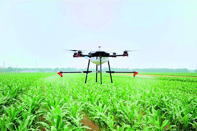 “Drone” Application Assists the Agricultural Development of Xinmin Town-msoen
