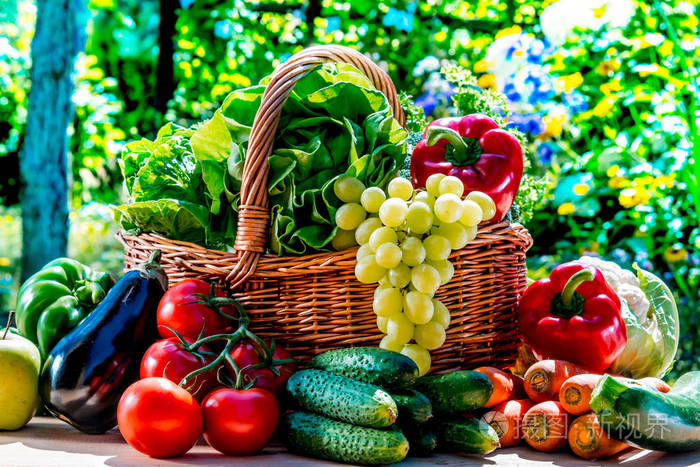 Vegetable greenhouse showcases “technological style”-agriculturalforum-agriculture-msoen