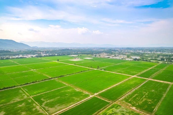 Beijing Fengtai: The Smart Agriculture Park is filled with a sense of technology-msoen