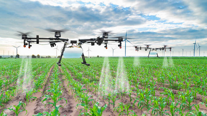 Qianxi City: Plant Protection Drones Fertilize and Prevent Damage to Rice-msoen
