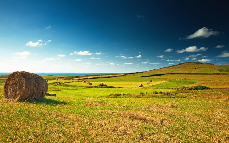 The Netherlands – A Highly Intelligent Agricultural Power-agriculturalforum-agriculture-msoen
