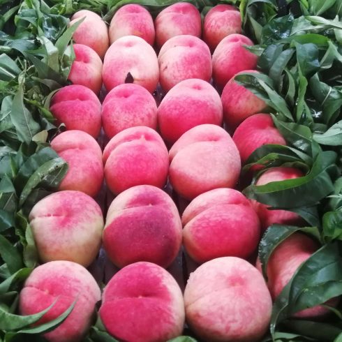 Wuxi Honey Peach Fire Goes Overseas-msoen