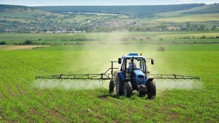 Building Digital Agriculture to Promote Agricultural and Rural Modernization in Tong'an-msoen