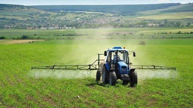 Building Digital Agriculture to Promote Agricultural and Rural Modernization in Tong’an-agriculturalforum-agriculture-msoen