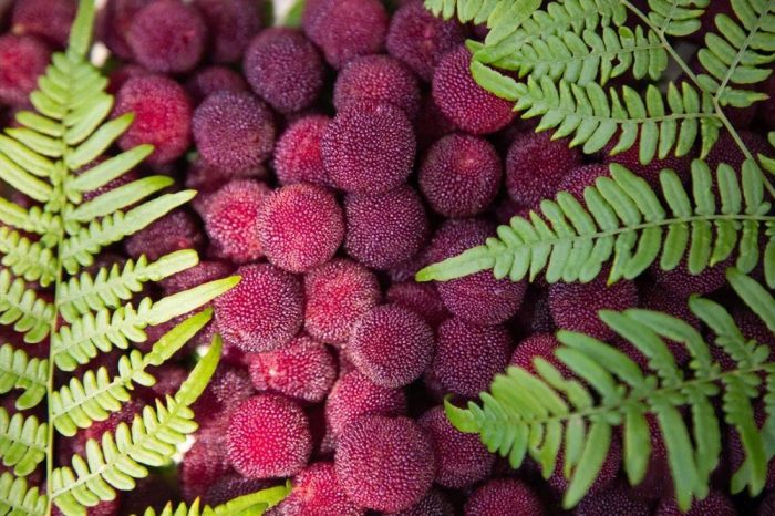 Construction of Hunan's first fully digital smart farm for rice production-msoen