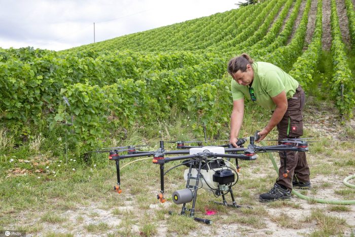 Orders for vegetable greenhouses in Jiaquan Village, Yaodu District are busy-msoen