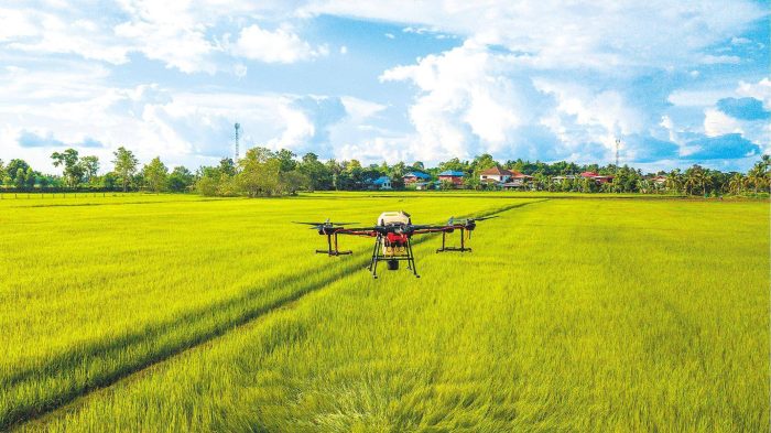 Drone assisted tobacco farmers in increasing their income-msoen