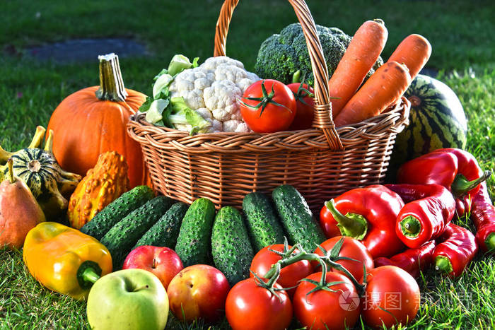 The vegetable greenhouse “climbs” up the mountain and turns into a “golden mountain” in seconds-agriculturalforum-agriculture-msoen